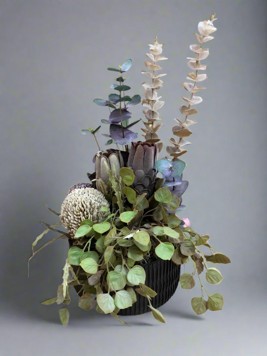 Banksia