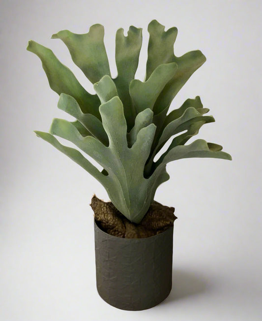 Stag horn Plant - artificial