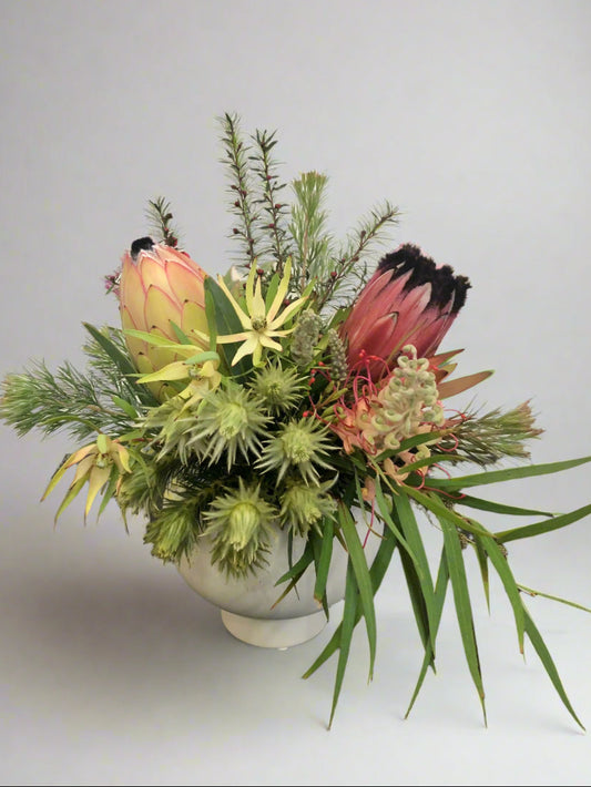 native arrangement