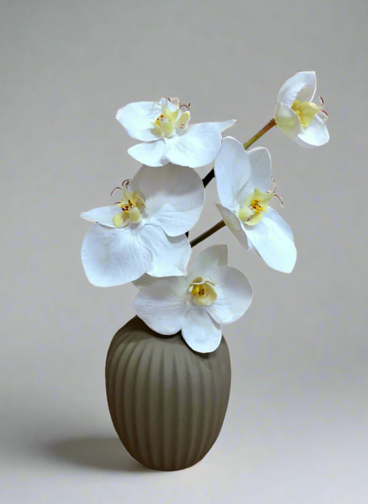 A 25cm height artificial white Phalaenopsis orchid with yellow centers in a modern matte vase.