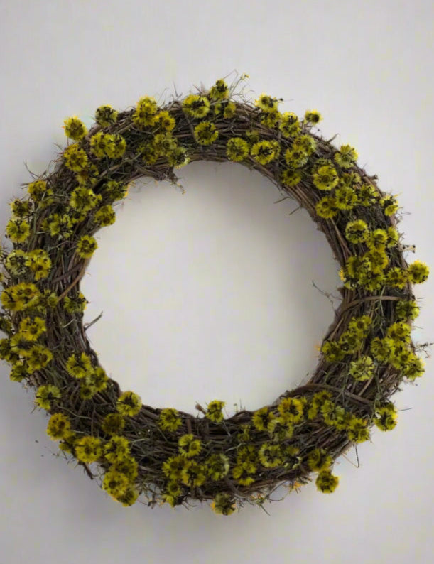 Stirlingia Wreath