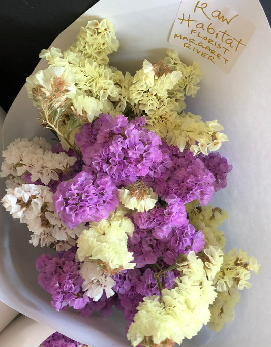 Dried Statice bunch