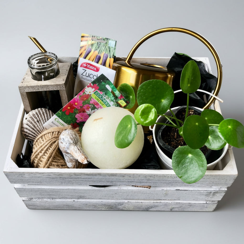 A whitewash storage crate containing a gold metal watering can, a propagation cylinder vase, a metal wall hung duck with a ball of string, a potted Chinese money plant, and a sphere candle with other items.