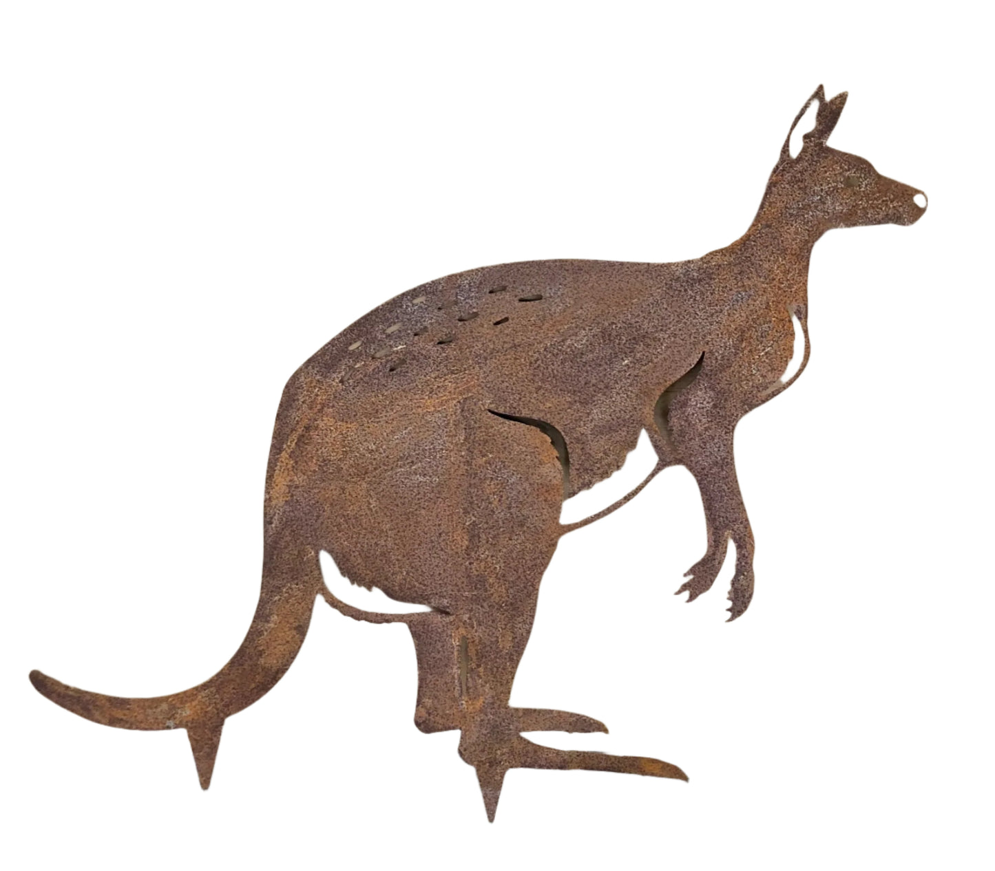 Kangaroo