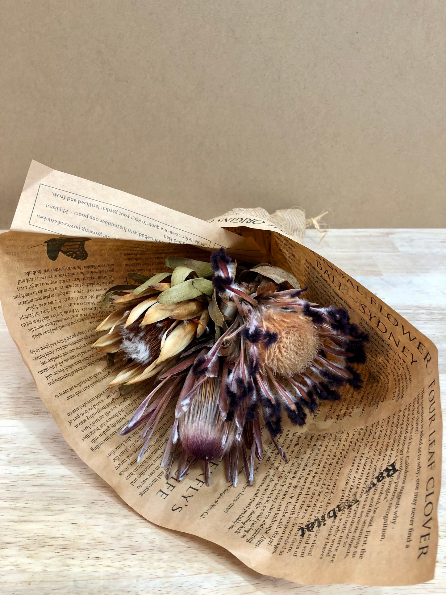 Dried Proteas