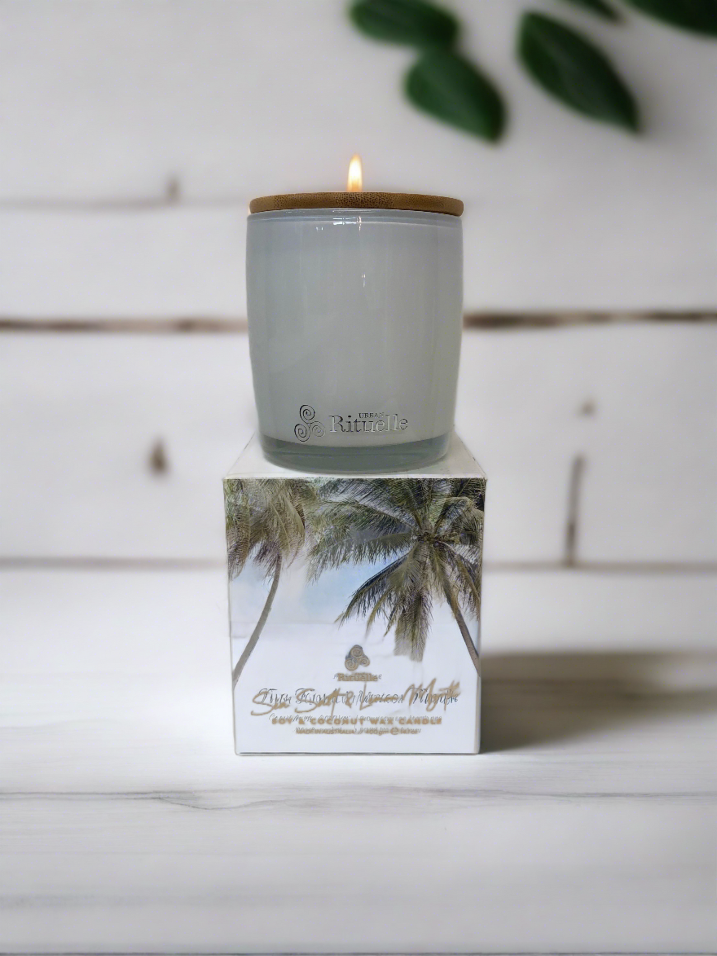 Sea salt & Lemon Myrtle Candle - large