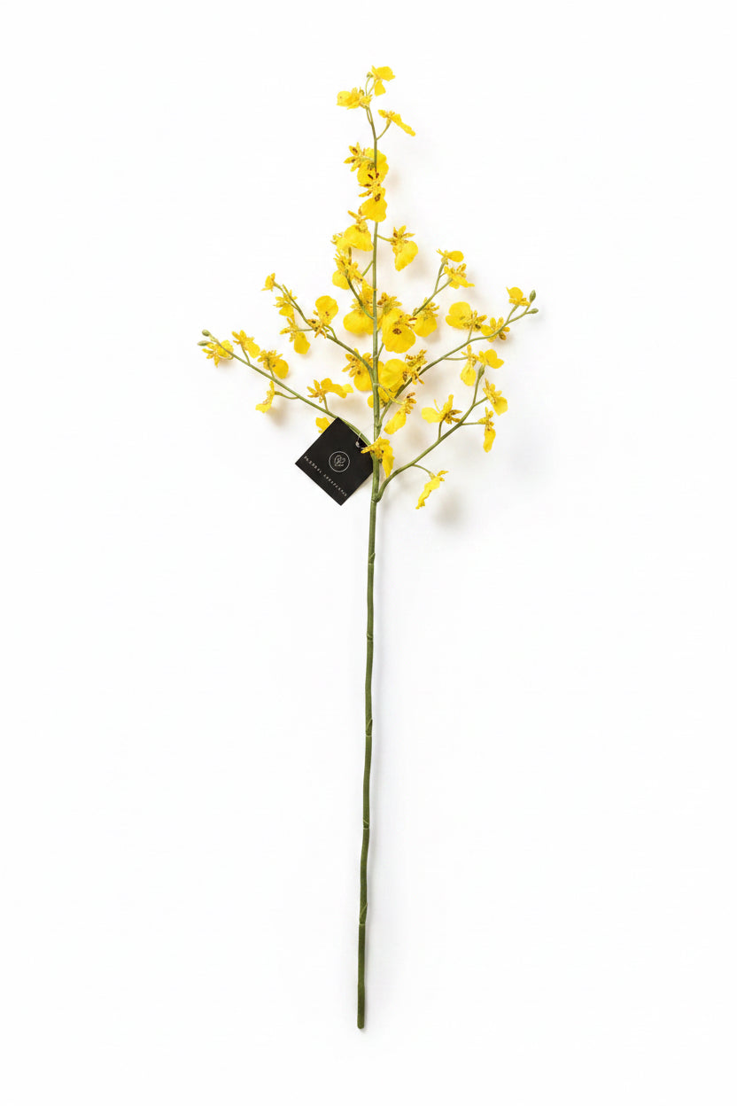 Dancing Orchid