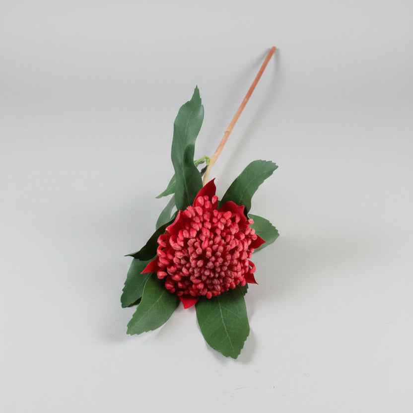 Red flower with green leaves on a concrete surface