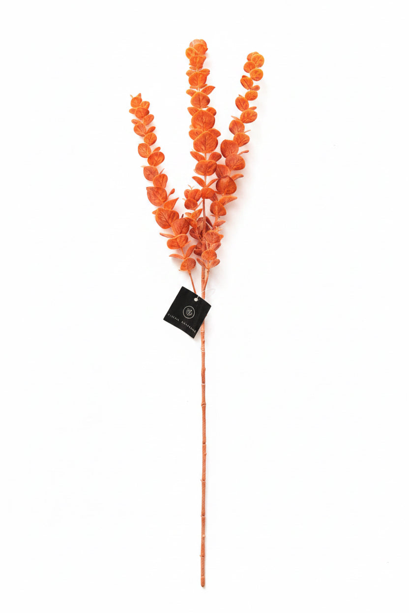 Eucalyptus spray coral