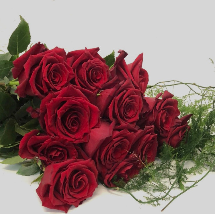 Valentine’s Day red roses