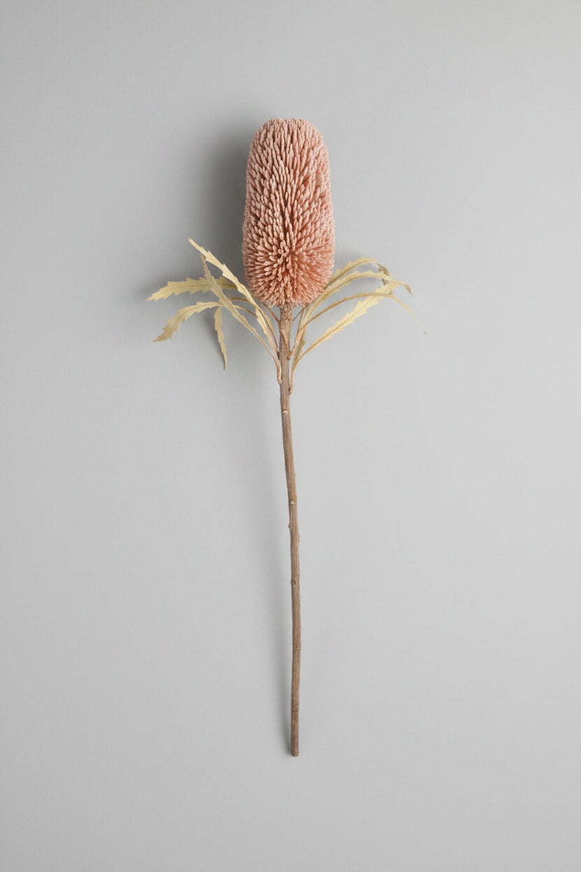 Dried flower bud on a gray background