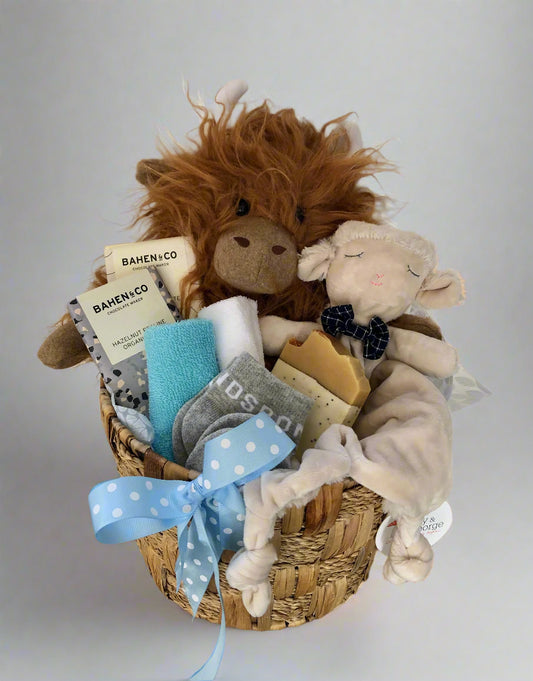 Baby gift basket 