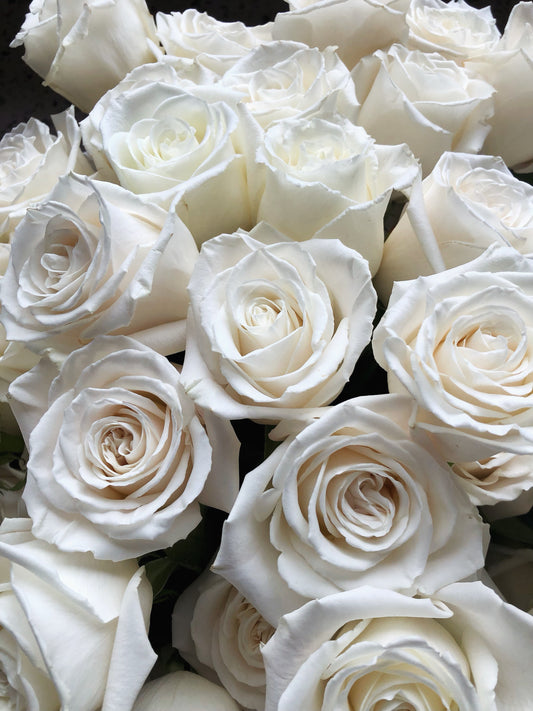 White Roses