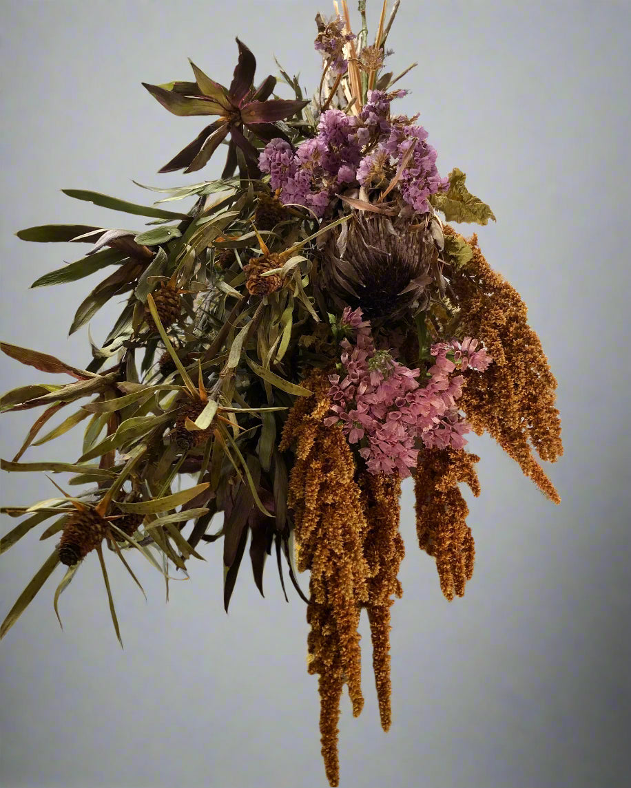 Amaranthus