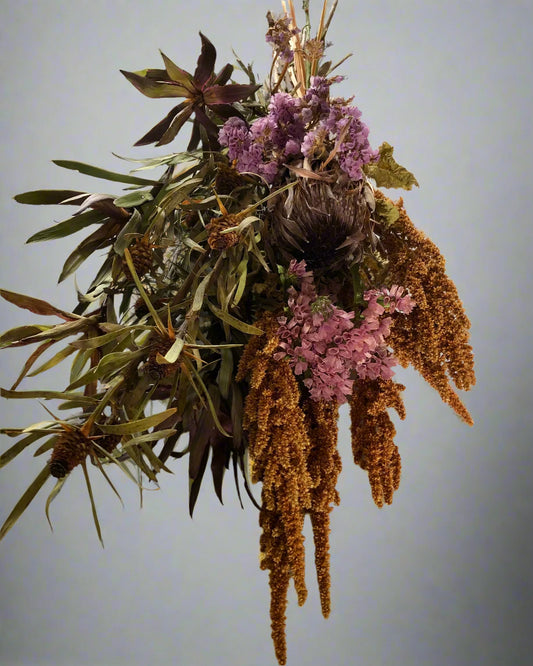 Amaranthus
